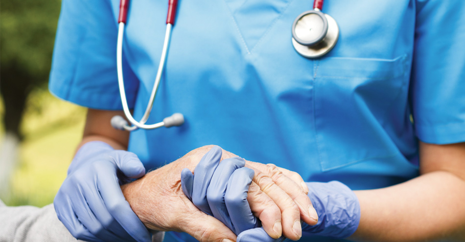 Spotlight On: Cathy Reece