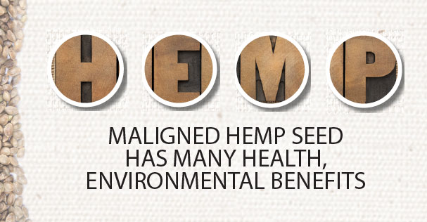 Maligned Hemp Seed Has Many Health, Environmental Benefits