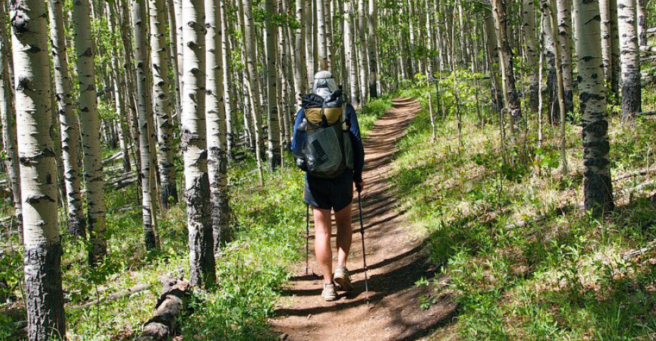 Take a Hike for Better Health