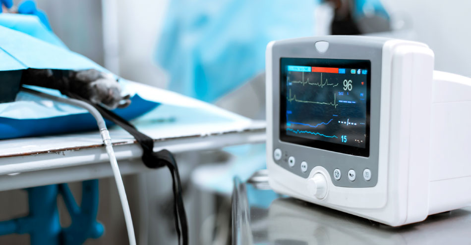 Patient Monitoring Market to Hit $27 Billion