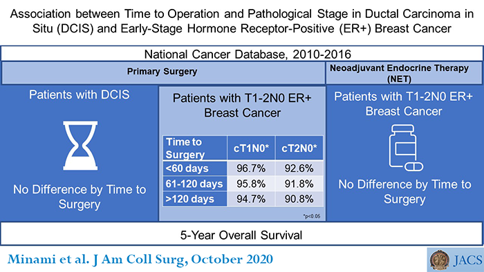 Delay in breast cancer operations due to COVID-19 pandemic appears to be non-life-threatening for women with early-stage disease