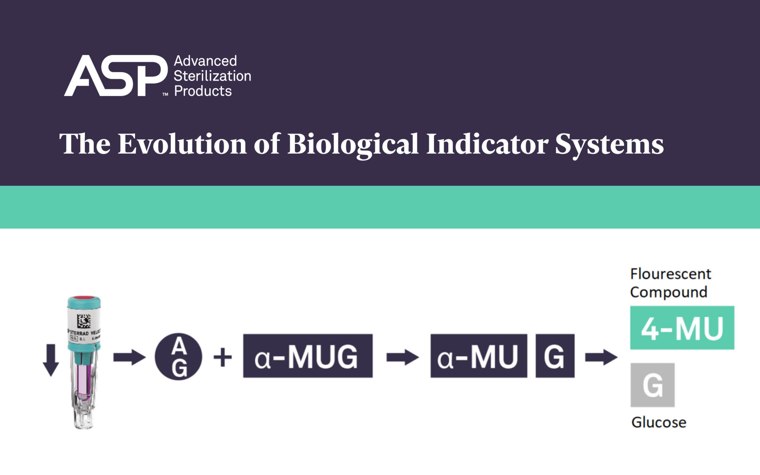 The Evolution of Biological Indicator Systems