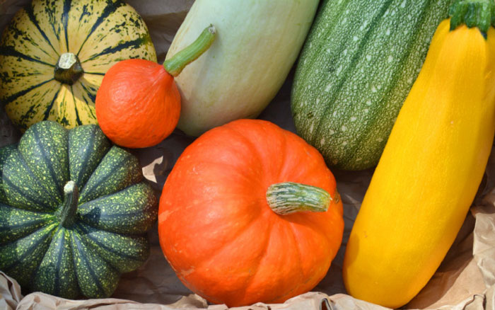 Squash and pumpkin