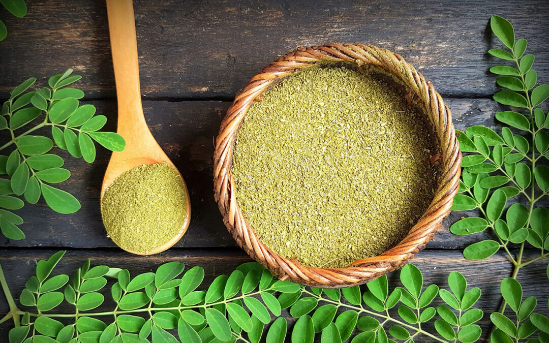 Discover the Miracle of Moringa