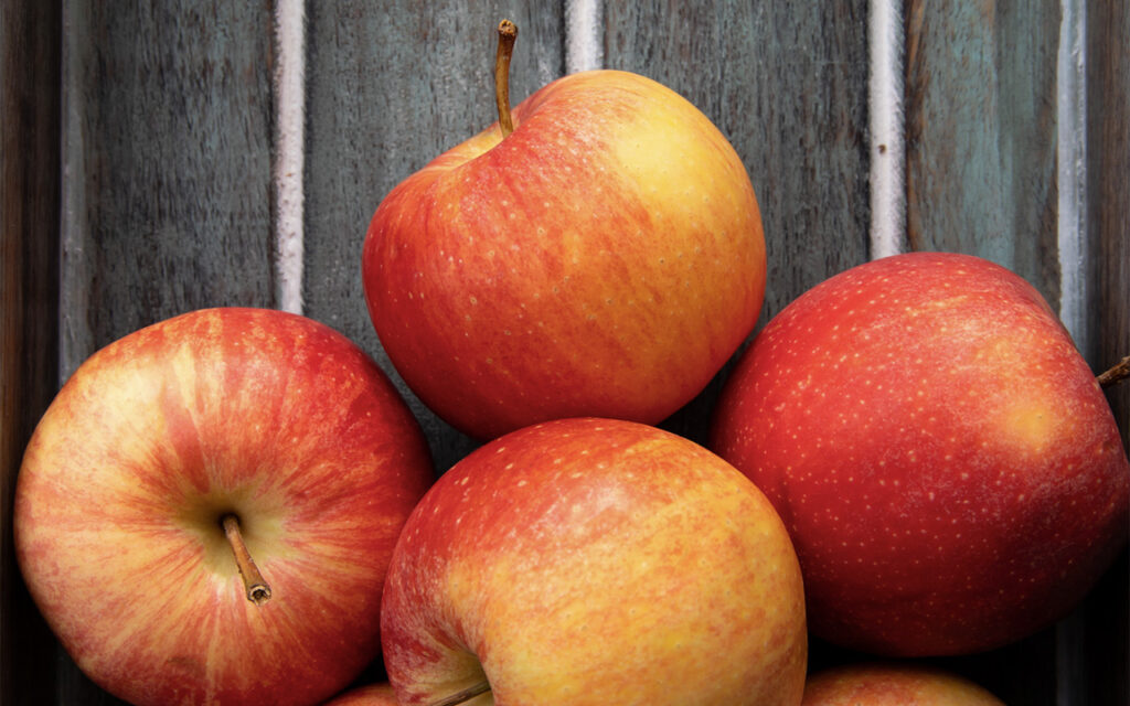 How To Feed Your Brain Every Day