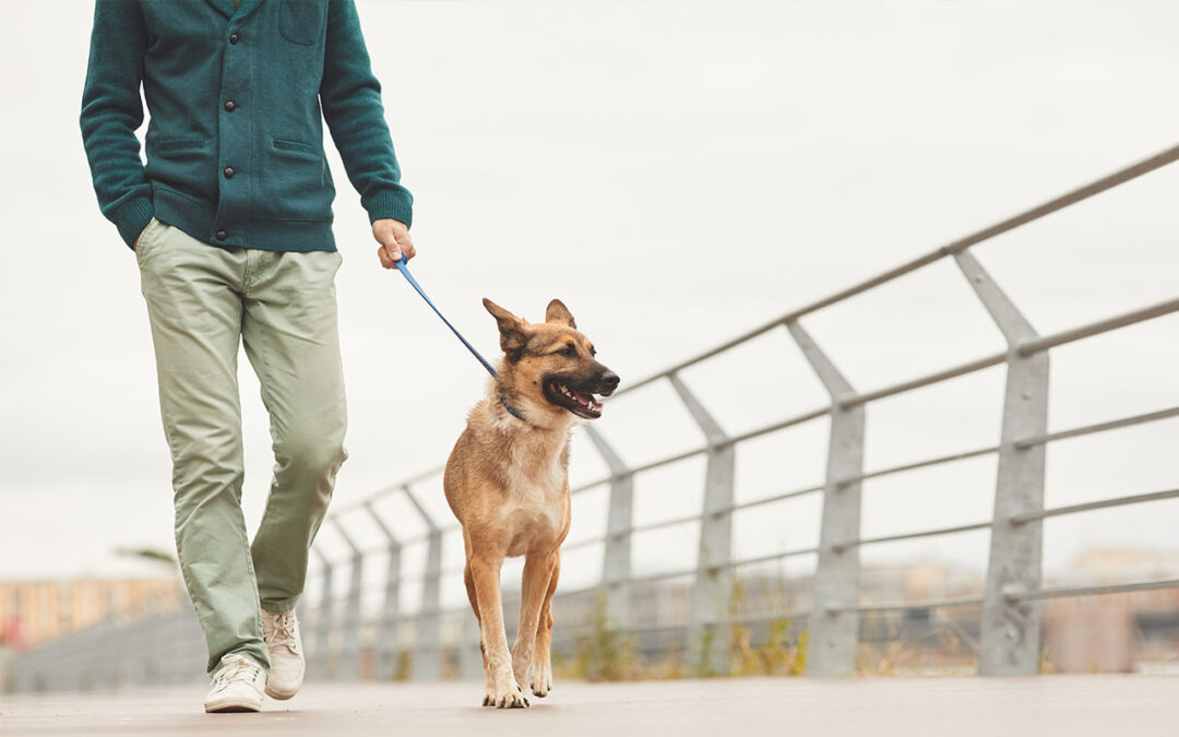 Tie Between Emotional Events & Motivations