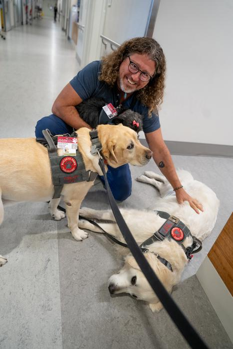 Study: Therapy Dogs Deliver Mood Boosts