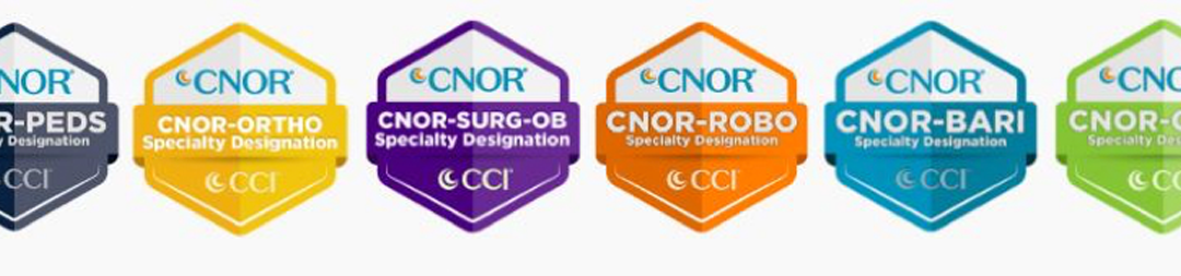 45 Years Strong: CCI’s 2024 Achievements and Exciting Path Forward