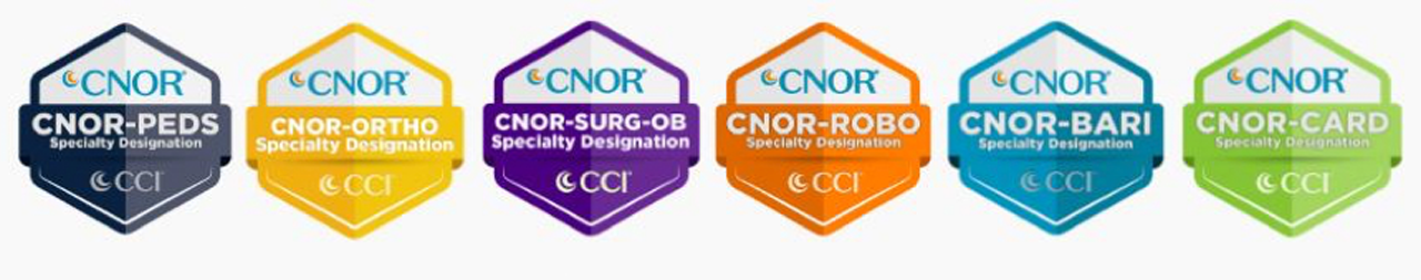 45 Years Strong: CCI’s 2024 Achievements and Exciting Path Forward