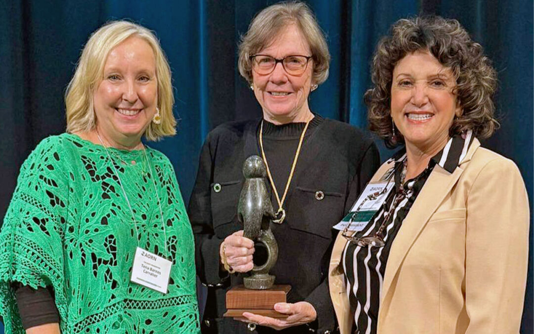 Spotlight on: Brenda C. Ulmer MN, RN, CNOR, FAORN, Perioperative Nurse Educator