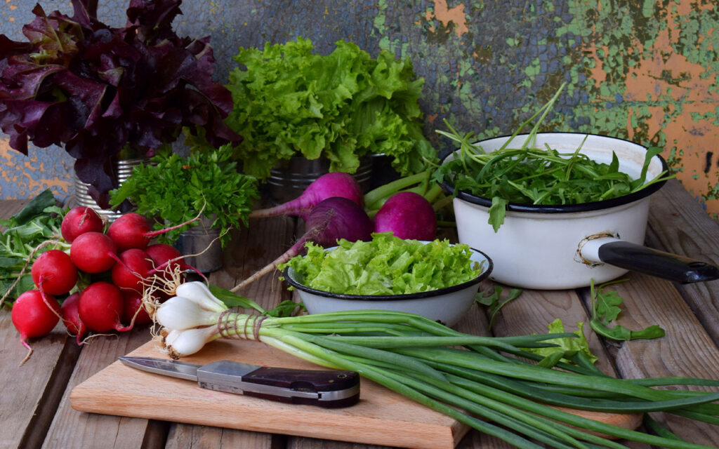 Embrace Spring's Bounty: Spring Vegetable Recipes for Health and Vitality