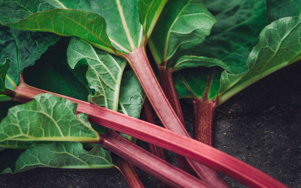 Embrace Spring's Bounty: Spring Vegetable Recipes for Health and Vitality