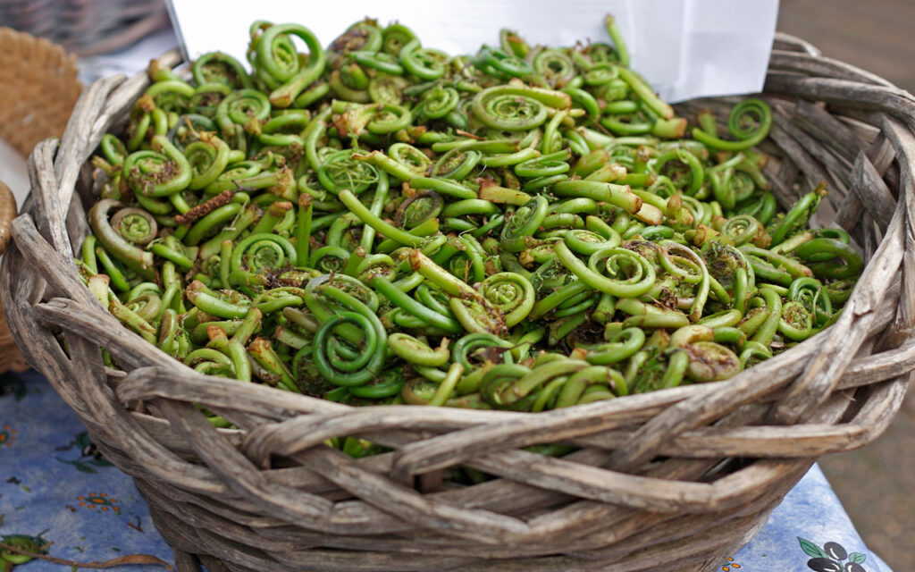 Embrace Spring's Bounty: Spring Vegetable Recipes for Health and Vitality