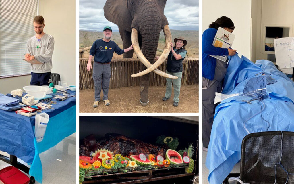 Spotlight On: Karen Elliott, MSN, BS, RN, CNOR, CSPDT, Professional Development Specialist, Department of Perioperative Services, Regional One Health