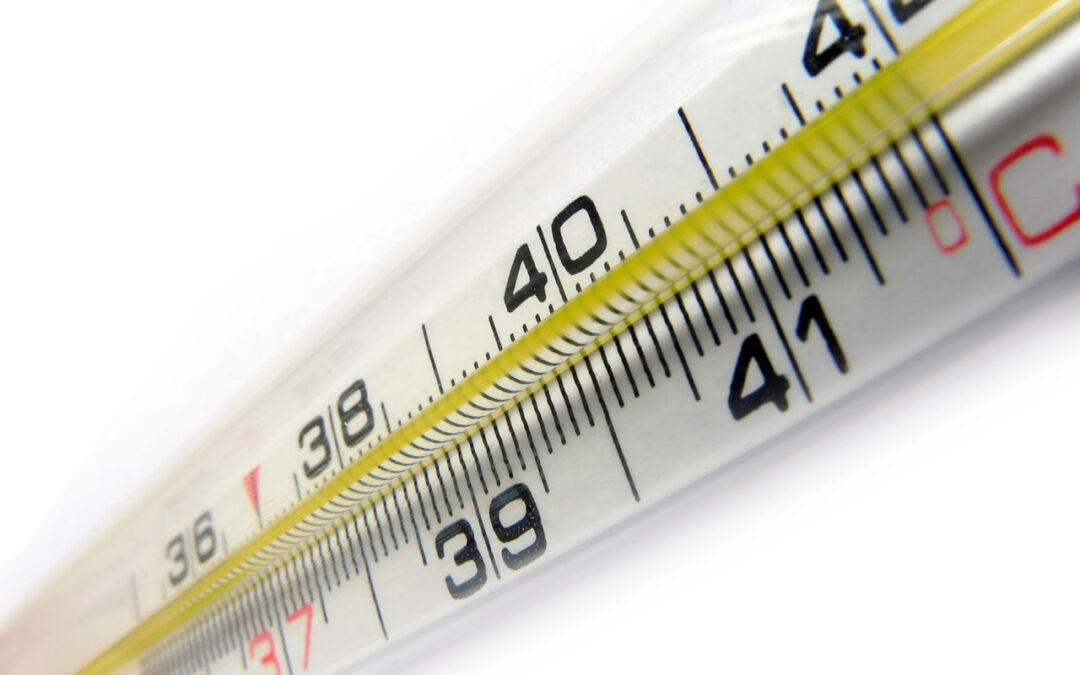 Patient Temperature Management Market to Reach $6.5 Billion