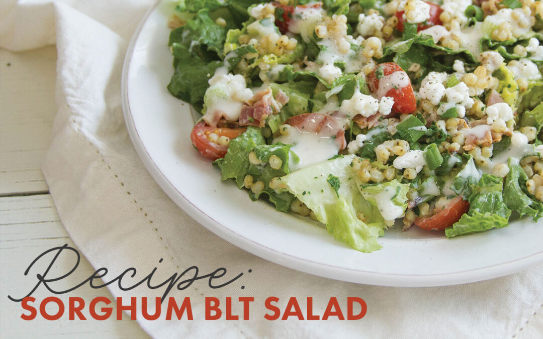 Unlock the Ancient Secret to Nutritious Meals and Snacks