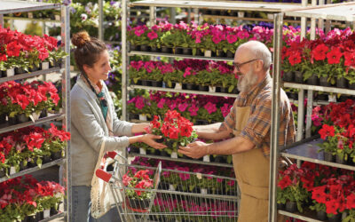 Buying Flowers May Boost Well-Being, Reduce Stress