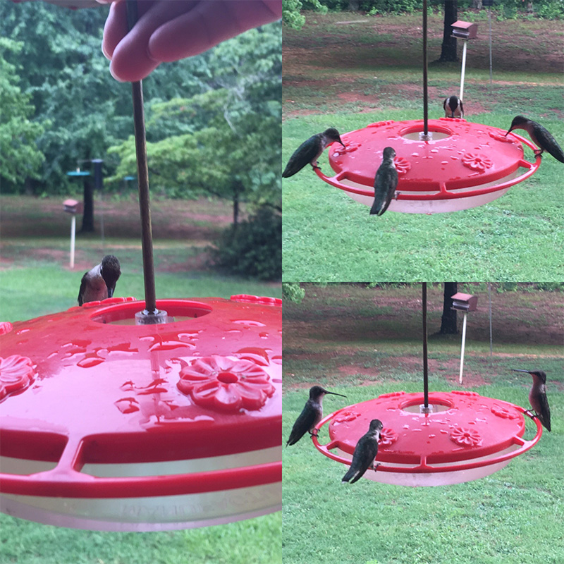 Spotlight On: Pat Thornton