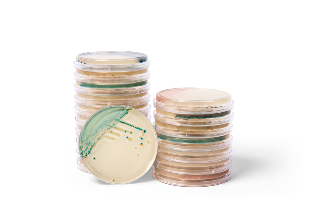 Thermo Scientific Brilliance Candida 2 Agar