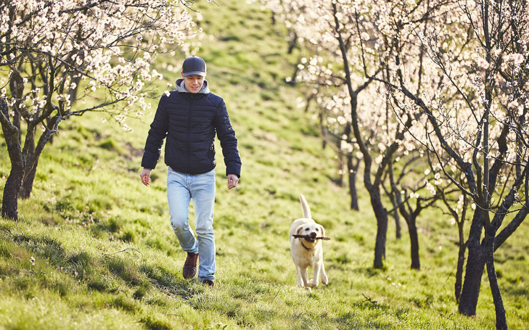 Walk More to Stress Less: Get Moving to Improve Well-Being