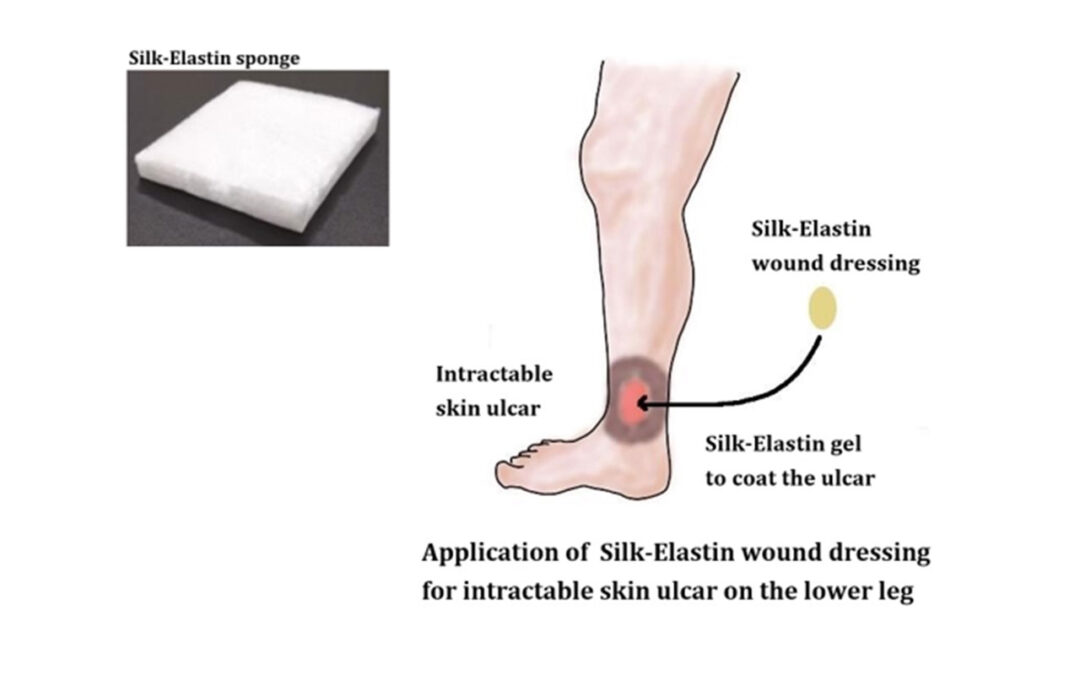 Sanyo Chemical Industries Silk-Elastin