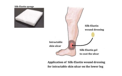 Sanyo Chemical Industries Silk-Elastin