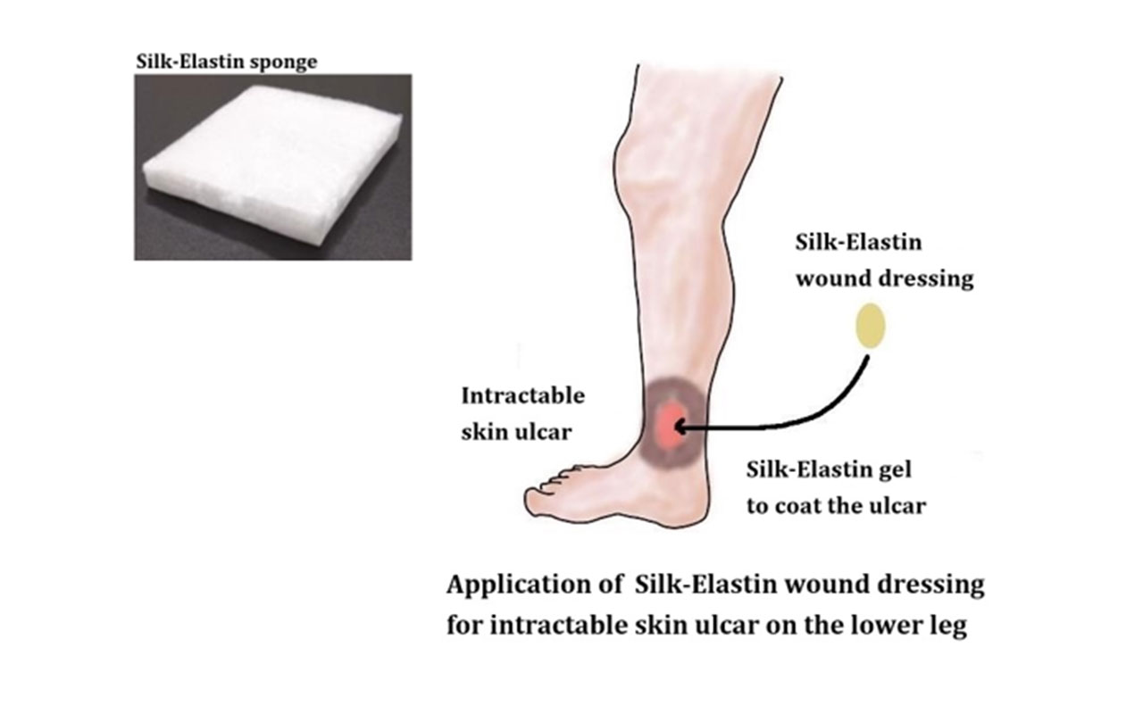 Sanyo Chemical Industries Silk-Elastin